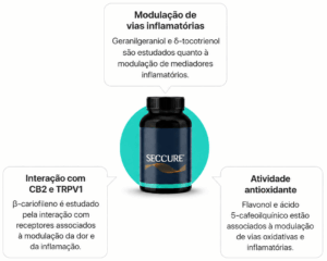 Infográfico do Seccure® com destaque para β-cariofileno, CB2, TRPV1, vias inflamatórias e atividade antioxidante.