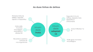 infográfico imunidade inata vs adaptatova