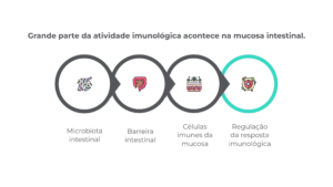 infográfico intestino imune