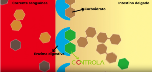 como-tratar-hiperinsulinemia - CNTROLA - Inibição competitiva e reversível da atividade da enzima α-glucosidase pelo suplemento.