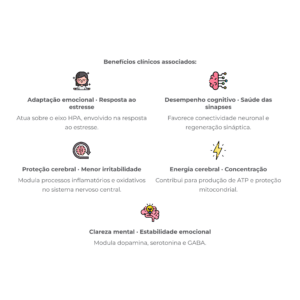 Infográfico benefícios MEDIATE
