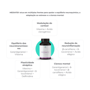 Infográfico sobre Mediate