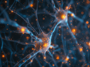 como estresse-Lecibrain - estresse e como ele se manifesta no organismo - neurotransmissores