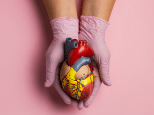 Mãos segurando modelo anatômico de coração, representando saúde cardiovascular, EPA puro e estratégias cardiometabólicas individualizadas.